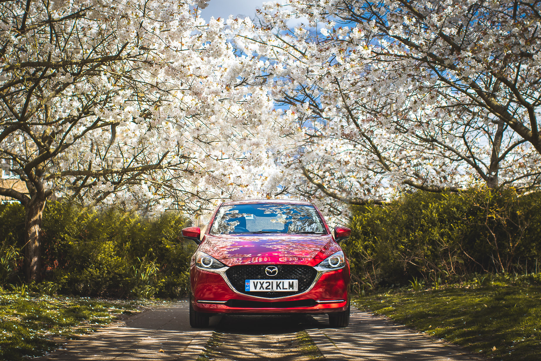 MazdaBlossomC-3.jpg